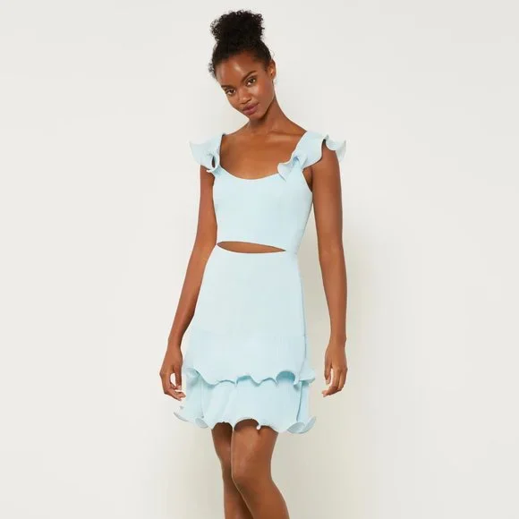 bcbg blue ruffle dress Ruffle Halter Chiffon Gown